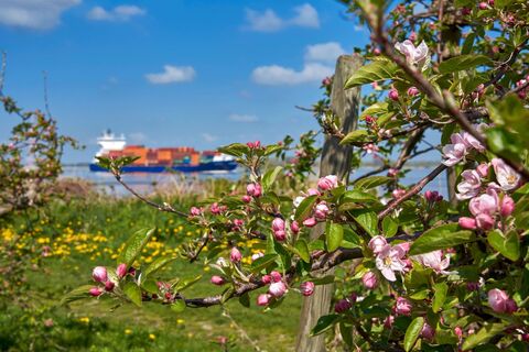 Containerschiff auf der Elbe