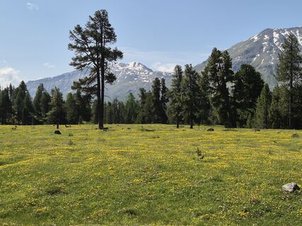 Photo from Thomi W along the tour