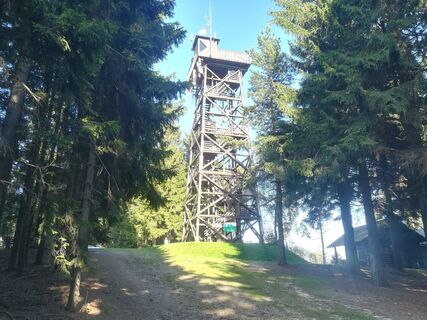 Alpannonia Weitwanderweg - Aussichtswarte am Hutwisch