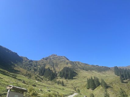Foto von firebird 93 entlang der Tour