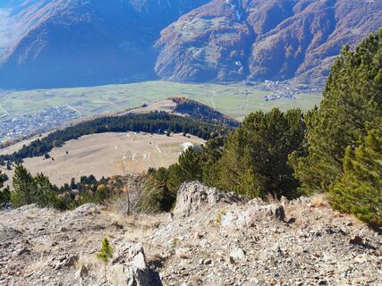 Fotografija s spletne strani ellenri na poti