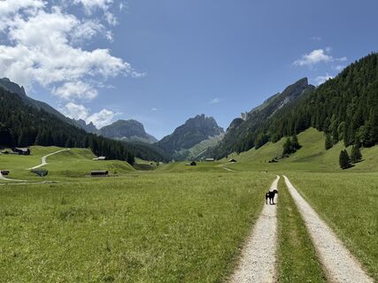 Fotografija s spletne strani Andreas Hill na poti