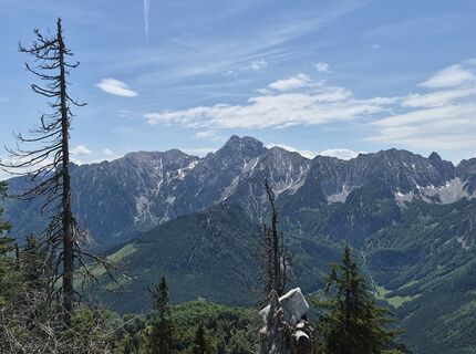 Fotografia z Reise5 Koenigin na trase