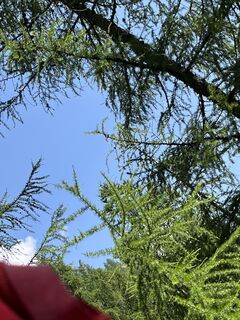 Foto van Mario camanni langs de tour