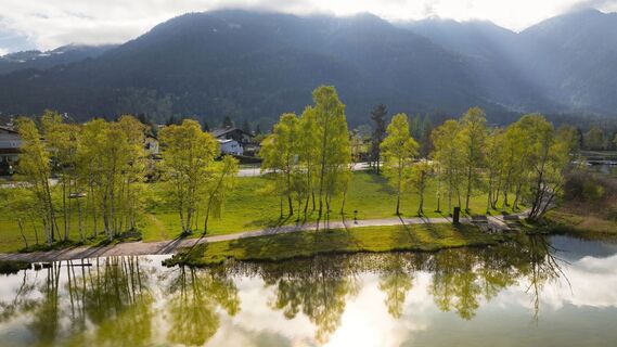 Wildsee im Frühling bei Morgenstimmung - Drohnenaufnahme Bäume bei Seepromenade.jpg