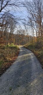 Photo de Domiwiesel le long du parcours