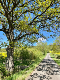 Rundweg Nordheim
