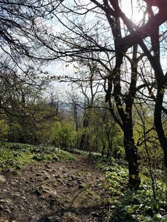 Foto de Poschacher a lo largo del recorrido