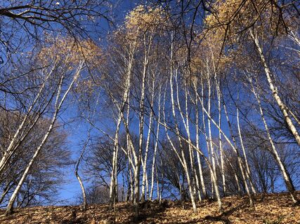 Zdjęcie z “Jerry” Brunetti wzdłuż trasy