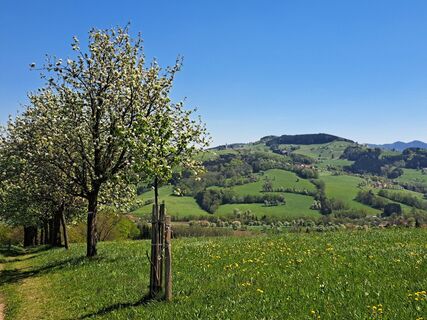 Photo de Bellou le long du parcours
