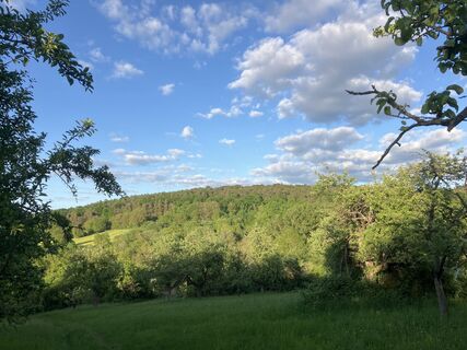Foto von Steffen Weibrecht entlang der Tour