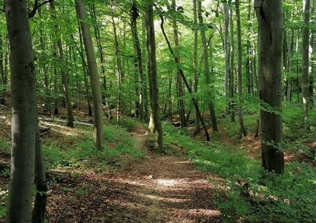 Naturpark Eichenhain