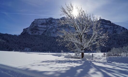 Winterlandschaft in Bizau