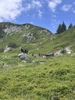 Foto von Pierre ricci entlang der Tour