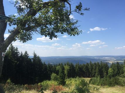 Ausblick Meuselbacher Kuppe