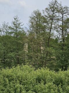 Foto von Pauline Lissek entlang der Tour