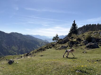 Photo de Peter Köglmeier le long du parcours