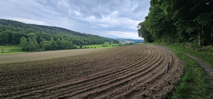 Foto von Michael Ganswind entlang der Tour