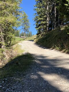 Foto van andrea calabria langs de tour