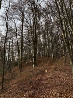 Fotografie z Klaus lembeck na trase
