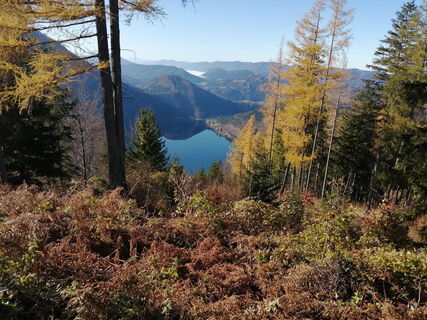 Seeblick 2
