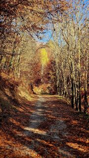 Photo de Fabrizi Mellano le long du parcours