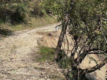 Fotografija s spletne strani Karsten Beer na poti