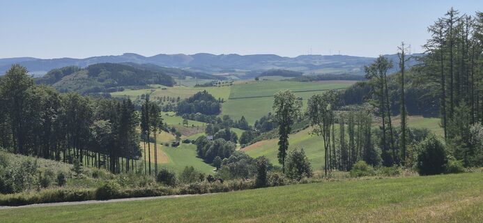 Photo de Helmut Damm 1 le long du parcours