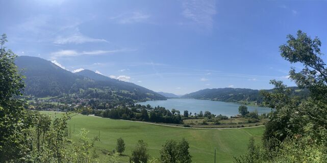 Fotografia z Helmut Scheurer na trase