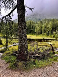 Foto von Kellner Heidi entlang der Tour