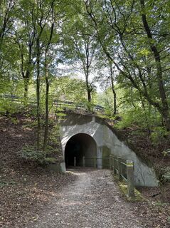 Photo de Moonytiger le long du parcours