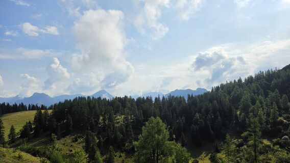 Photo de EP87 le long du parcours
