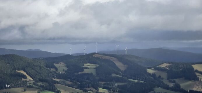 Photo from Siegfried Sauseng along the tour