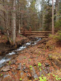 Foto de Romek Dwornik a lo largo del recorrido