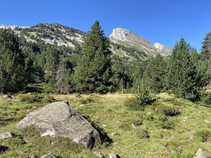Fotografia z Gisela Walz na trase