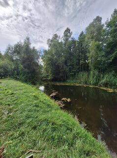 Foto von Jaap Rozeboom entlang der Tour