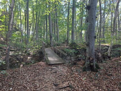 Foto von Wanderbursche66 entlang der Tour