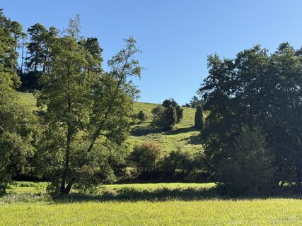 Foto de Norbert Herbig a lo largo del recorrido