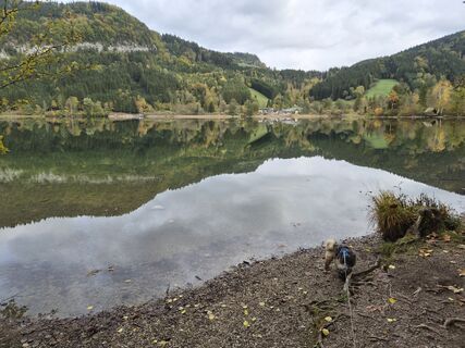 Photo de Kurt Weissenboeck le long du parcours