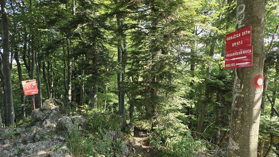 Photo de Nino “CrniCRO” le long du parcours