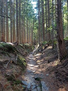 Foto von Nella entlang der Tour