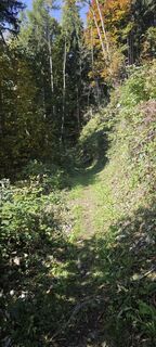 Fotografia z Dieter Ilesic na trase