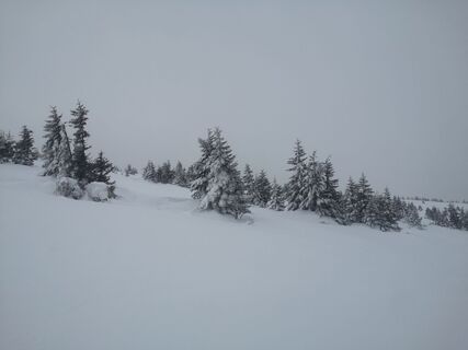 Foto von Ric Hard entlang der Tour