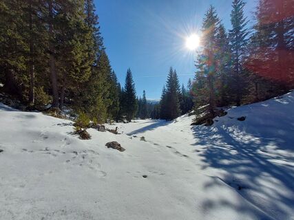 Foto fra David undervejs på turen
