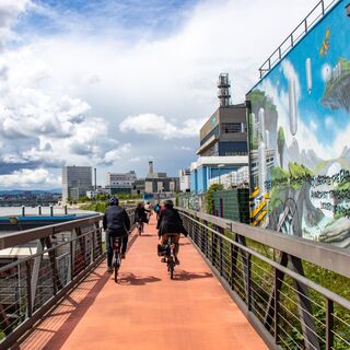 Radweg Huningue-Basel