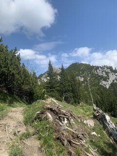 Foto von Kristina 1 entlang der Tour