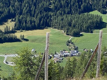 Photo de Daniel Bulfoni le long du parcours