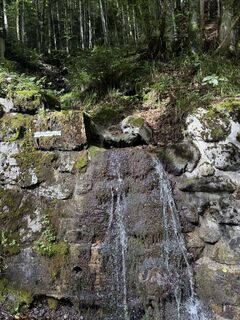 Fotografia z Passport1405 na trase