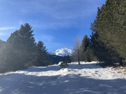 Foto de Amiks a lo largo del recorrido