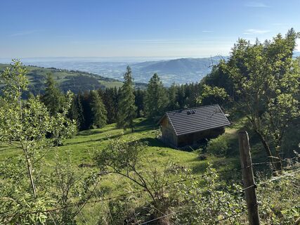 Foto von Dani Geiger / Natur_erleben_dg entlang der Tour